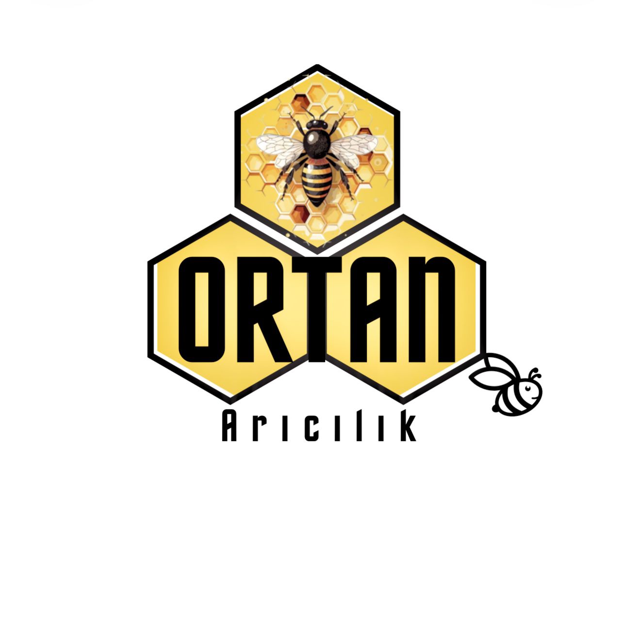 main_sponsor