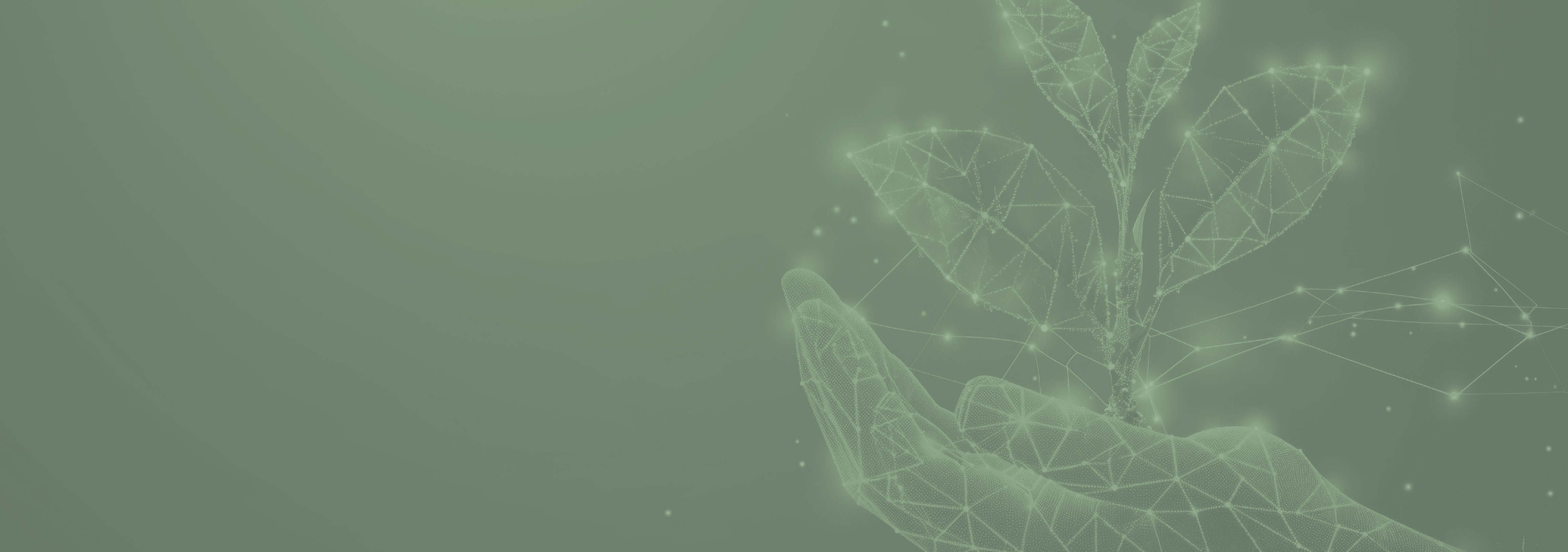 SCAP Spring 2024-2025 Exhibition and Certificate Ceremony