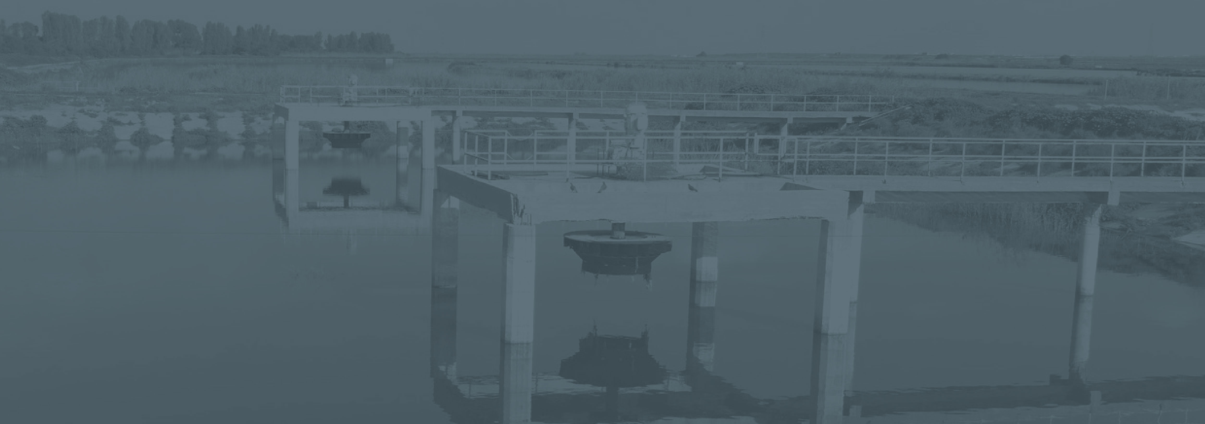 Technical Trip to the Haspolat Wastwater Treatment Plant