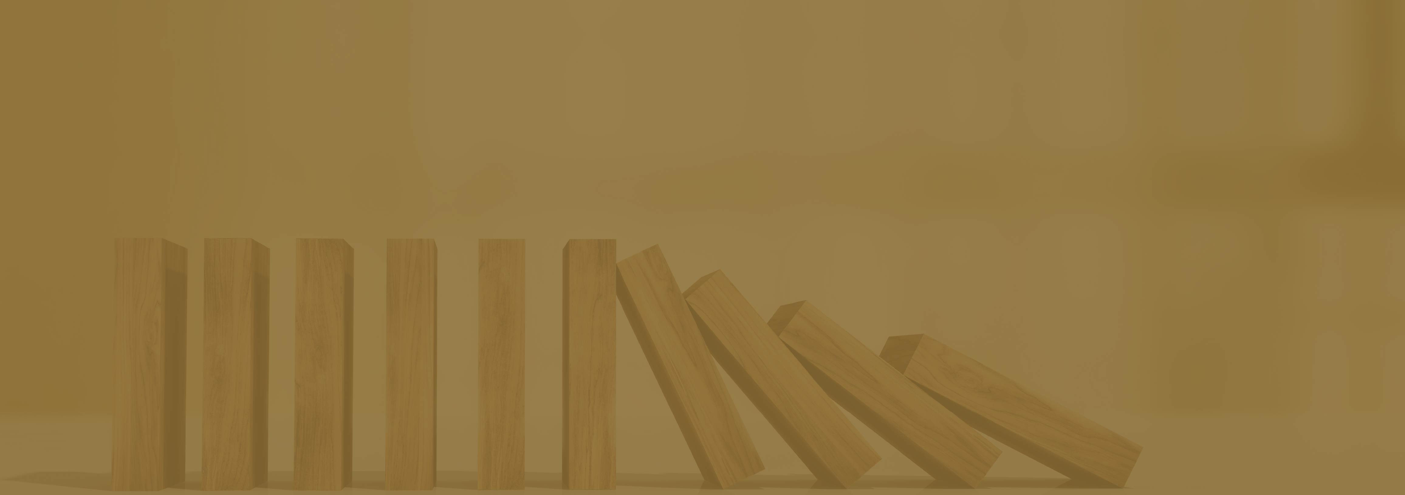 Risk Management