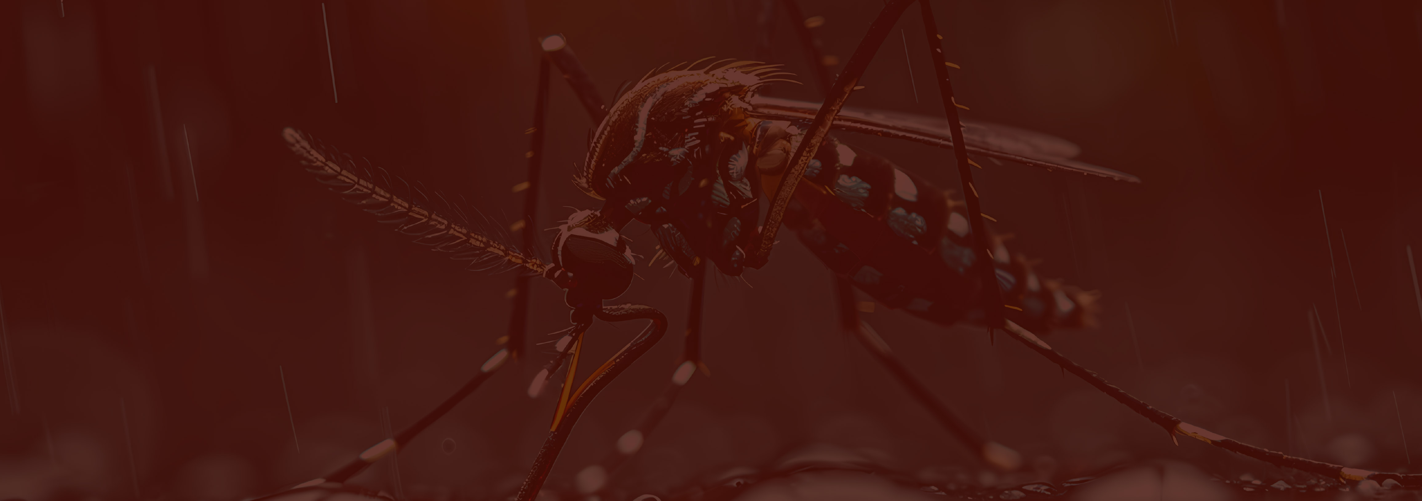 CIU - MEDx - West Nile Virus, The Journey From Mosquito to Brain