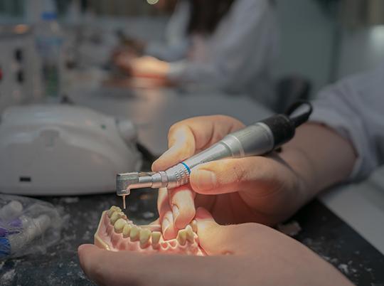 ciu-dentistry-orthodontics-phd