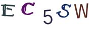 Resimli CAPTCHA